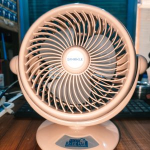 ACI Smart Dask Fan 8" light pink